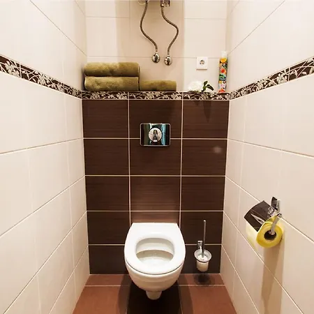 Apartment Vip-Kvartira Kiseleva *